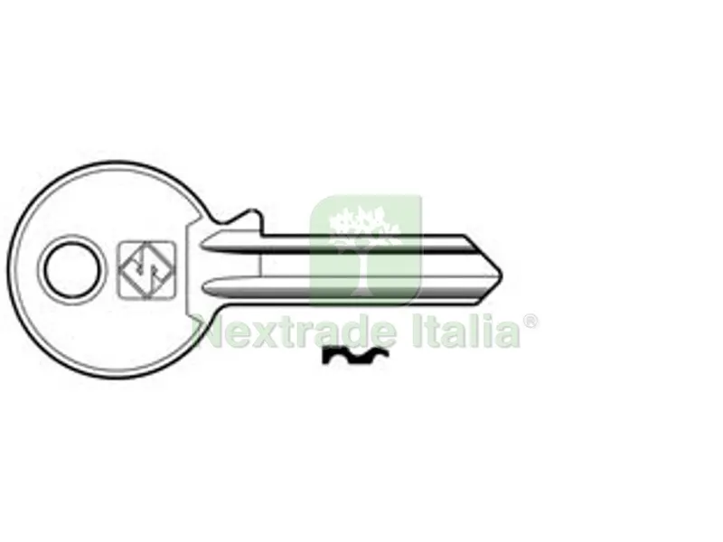 100PZ chiavi per cilindri 5 spine piccole ie3 in acc. nich. - ie3 dx — Serrature e cilindri — rif. FERX.FER368155