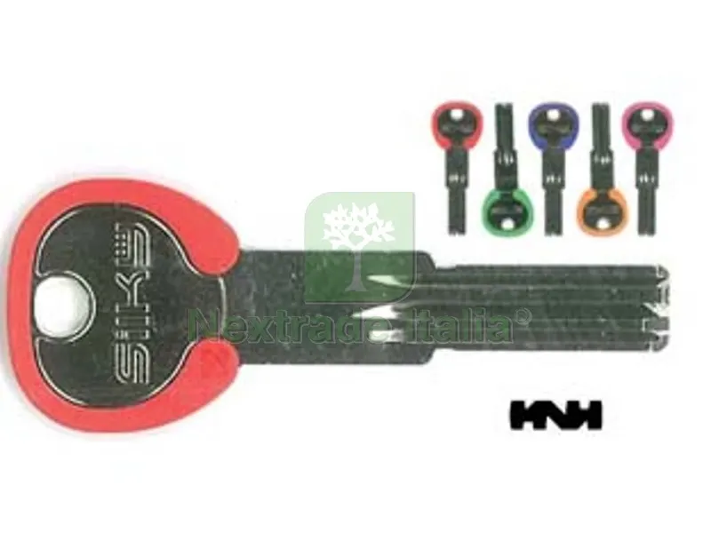5PZ Chiavi Punzonate per Cilindri AGB 6 Spine AGB9DZ - AGB9DZ silky 5 colori assortiti — Chiavi grezze e duplicati — rif. FERX.FER369770