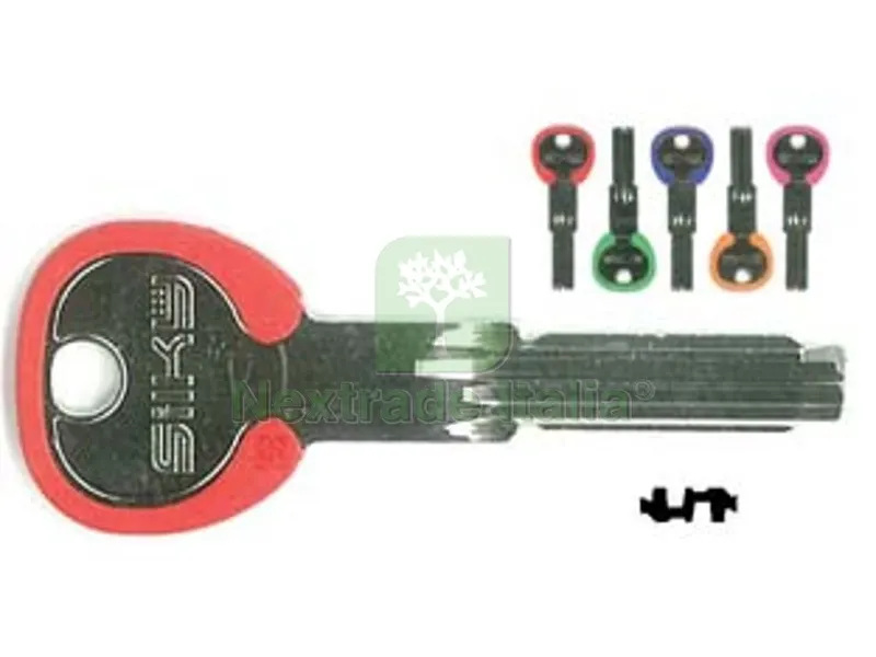 5PZ chiavi punzonate per cilindri 6+7 spine cs62dz - cs62dz silky 5 colori assortiti — Chiavi grezze e duplicati — rif. FERX.FER369787