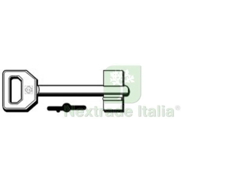 5PZ CHIAVI DOPPIA MAPPA FIAM 5FI13 - 5FI13 — Chiavi grezze e duplicati — rif. FERX.FER370080