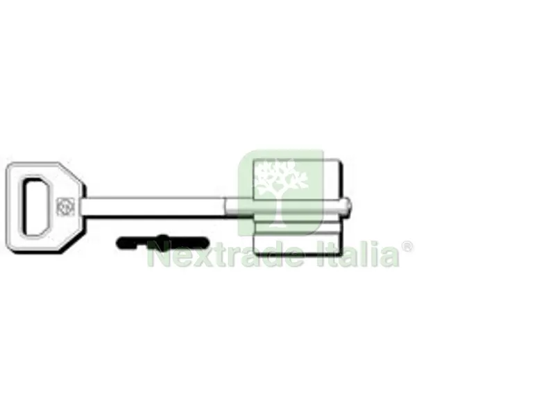 5PZ CHIAVI DOPPIA MAPPA FIAM 5FI19 - 5FI19 — Chiavi grezze e duplicati — rif. FERX.FER370110