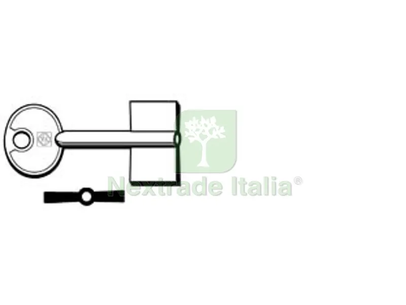 Chiavi Doppia Mappa Lips Vago 5LV1 - 5LV1 — Chiavi grezze e duplicati — rif. FERX.FER370219