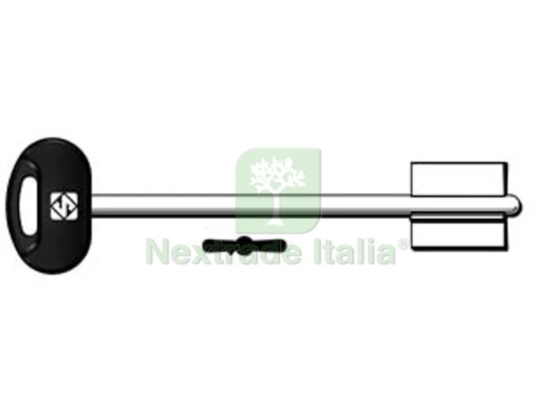 5PZ CHIAVI DOPPIA MAPPA MOTTURA 5MT19BP - 5MT19BP — Chiavi grezze e duplicati — rif. FERX.FER370257 5PZ CHIAVI DOPPIA MAPPA MOTTURA 5MT19BP - 5MT19BP — Chiavi grezze e duplicati — rif. FERX.FER370257