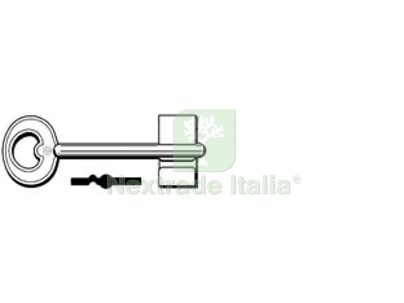 25PZ Chiavi Doppia Mappa Domus DS - DS (SU Ordinazione) — Chiavi grezze e duplicati — rif. FERX.FER370554