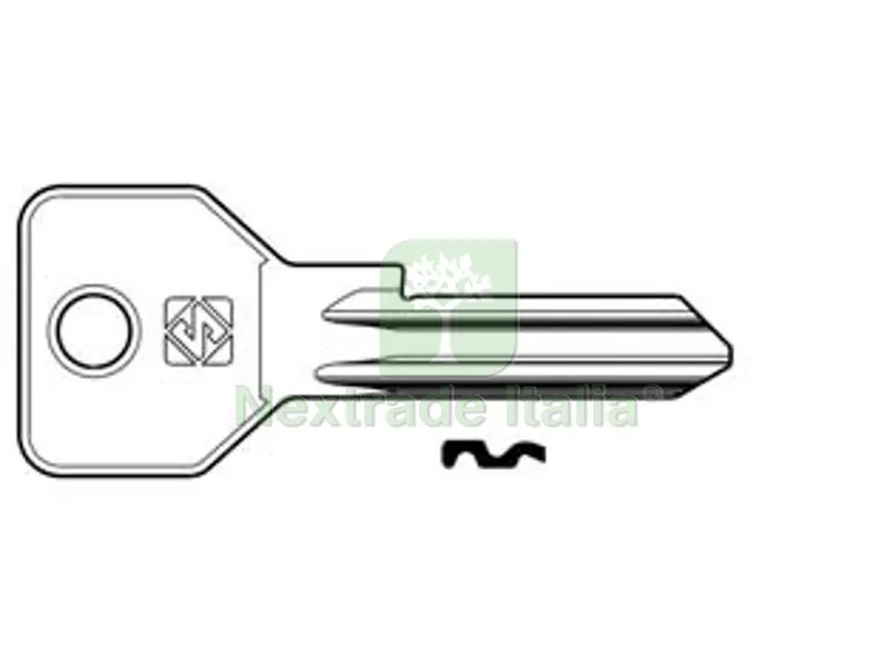 50PZ chiavi per cilindri 5 spine grandi cs119 in acc. nich. - cs119 dx — Serrature e cilindri — rif. FERX.FER373340