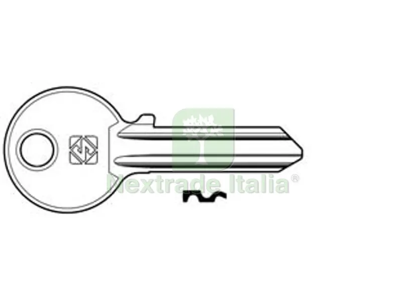 100PZ chiavi per cilindri 5 spine grandi cs206 in acc. nich. - cs206 dx — Serrature e cilindri — rif. FERX.FER373364