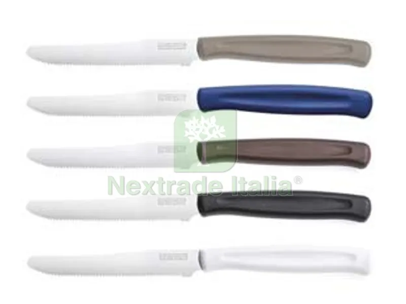 2BLISTER COLTELLO DINAMIK DA TAVOLA LAMA DENTATA - nero, lunghezza lama cm.11 (1023398) — Cucina e coltelleria — rif. FERX.FER382632 2BLISTER COLTELLO DINAMIK DA TAVOLA LAMA DENTATA - nero, lunghezza lama cm.11 (1023398) — Cucina e coltelleria — rif. FERX.FER382632