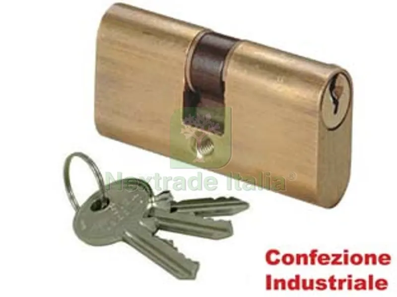 24PZ cilindri a infilare logo tipo ovale 08110 mm.56 centrato (28x28) (0811002) corpo in ottone con 3 chiavi in ottone nichelato (confezione industriale) — Serrature e cilindri — rif. FERX.FER383660 24PZ cilindri a infilare logo tipo ovale 08110 mm.56 centrato (28x28) (0811002) corpo in ottone con 3 chiavi in ottone nichelato (confezione industriale) — Serrature e cilindri — rif. FERX.FER383660