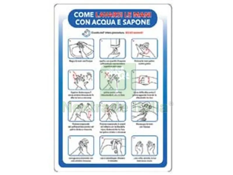 10PZ Cartello "come Lavarsi le Mani" - cm.35x50h. in plastica — Cartelli e segnaletica — rif. FERX.FER388962