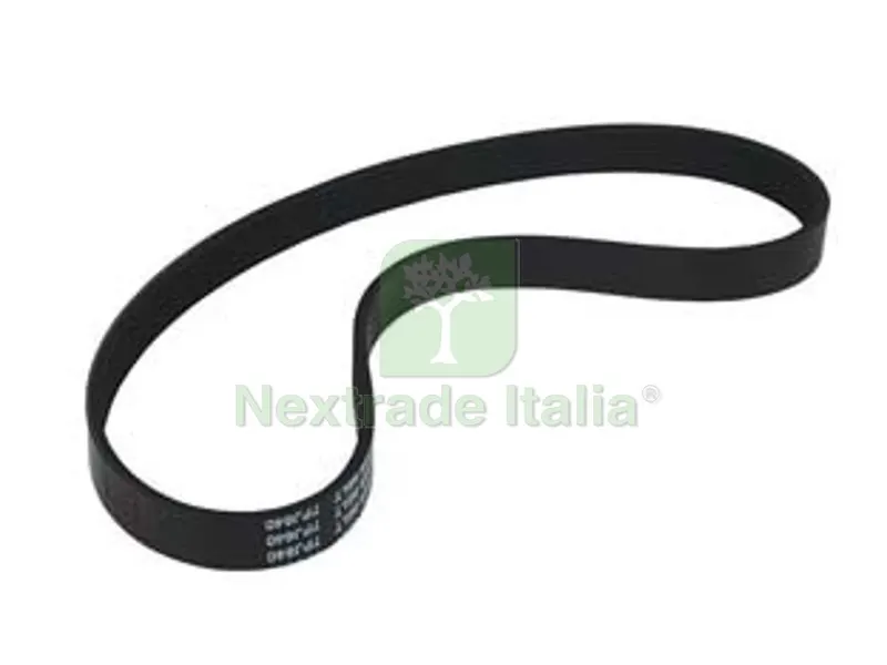 Cinghia di Trasmissione per Rasaerba Elettrico — Attrezzi da giardino a motore — rif. FERX.FER393706