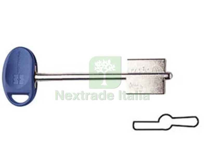 5PZ CHIAVI ORIGINALI MOTTURA DOPPIA MAPPA 92106 - (92106BLUC) — Chiavi grezze e duplicati — rif. FERX.FER402088 5PZ CHIAVI ORIGINALI MOTTURA DOPPIA MAPPA 92106 - (92106BLUC) — Chiavi grezze e duplicati — rif. FERX.FER402088