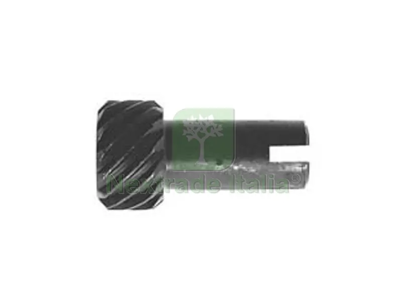 VITE DI REGOLAZIONE DEL TENDICATENA PER MOTOSEGA CC.25,4 — Elettroseghe e motoseghe — rif. FERX.FER406277 VITE DI REGOLAZIONE DEL TENDICATENA PER MOTOSEGA CC.25,4 — Elettroseghe e motoseghe — rif. FERX.FER406277