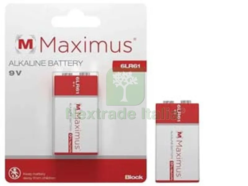 12PZ PILA TRANSISTOR ALCALINA — Pile e batterie — rif. FERX.FER408226