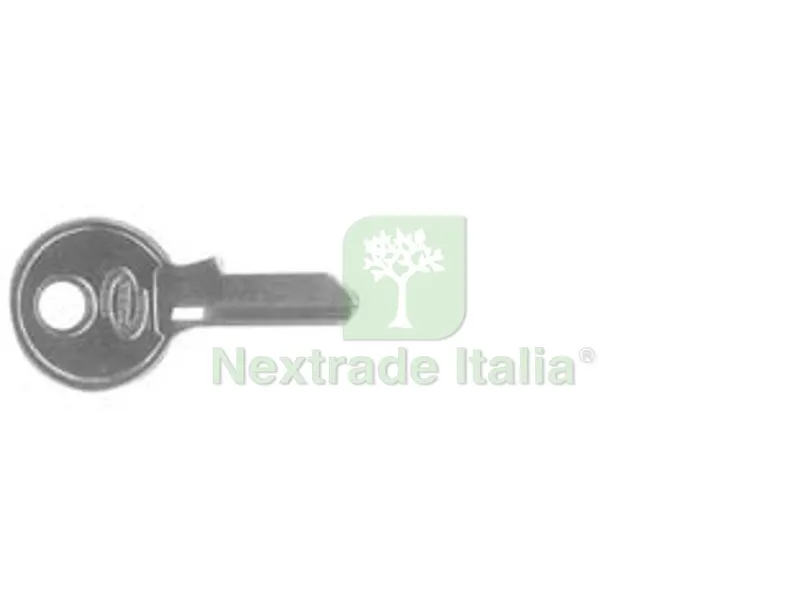 25PZ CHIAVE GREZZA PER LUCCHETTI PK75055010000V2 — Serrature e cilindri — rif. FERX.FER414371 25PZ CHIAVE GREZZA PER LUCCHETTI PK75055010000V2 — Serrature e cilindri — rif. FERX.FER414371