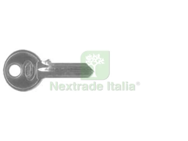 25PZ CHIAVE GREZZA PER LUCCHETTI PK75056010000V2 — Serrature e cilindri — rif. FERX.FER414388 25PZ CHIAVE GREZZA PER LUCCHETTI PK75056010000V2 — Serrature e cilindri — rif. FERX.FER414388