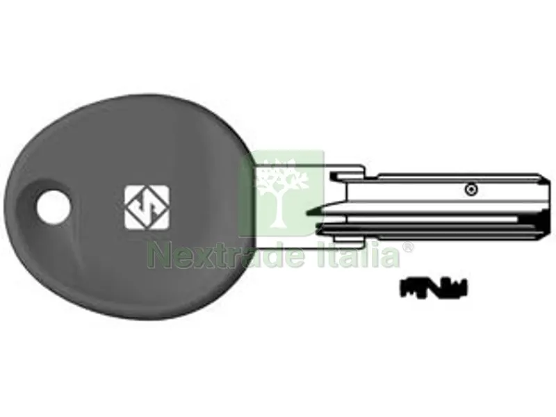 5PZ chiavi punzonate per cilindri 5+6+6 spine ie38rp - ie38rp — Chiavi grezze e duplicati — rif. FERX.FER424608