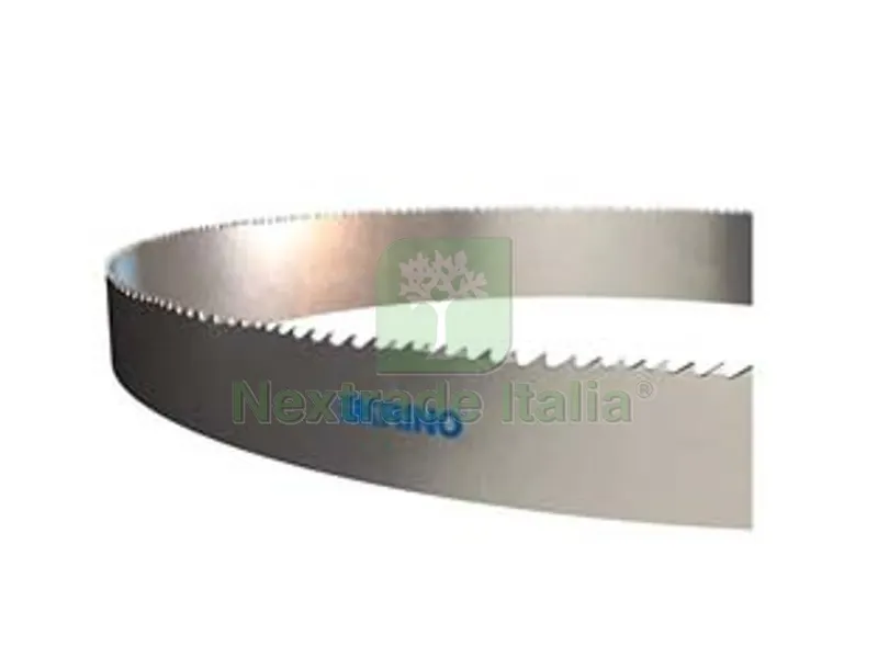 LAMA A NASTRO HSS PER SEGATRICI - mm.1300x13x0,65 — Punte, frese e dischi — rif. FERX.FER432962 LAMA A NASTRO HSS PER SEGATRICI - mm.1300x13x0,65 — Punte, frese e dischi — rif. FERX.FER432962