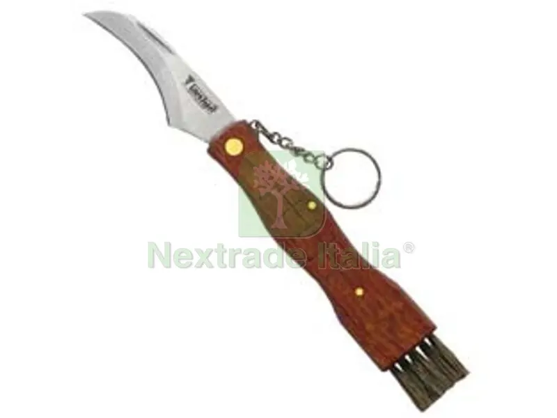 3PZ Coltello da Funghi Manico in Legno con Spazzolino CM.19 - cm.19 art.340 — Attrezzi da giardino — rif. FERX.FER438582 3PZ Coltello da Funghi Manico in Legno con Spazzolino CM.19 - cm.19 art.340 — Attrezzi da giardino — rif. FERX.FER438582
