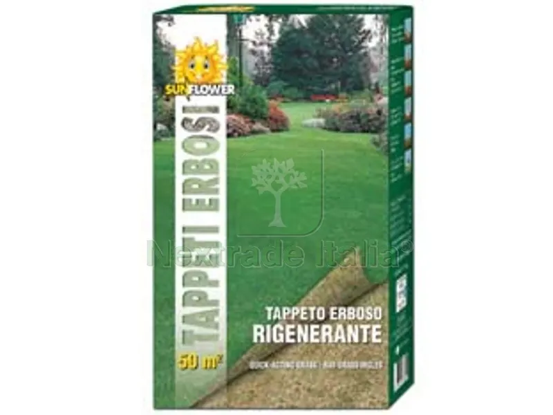 SEMI PRATO RIGENERANTE - kg.1 per mq.50 di prato — Accessori bagno — rif. FERX.FER463294 SEMI PRATO RIGENERANTE - kg.1 per mq.50 di prato — Accessori bagno — rif. FERX.FER463294