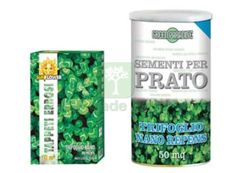 5PZ SEMI PRATO TRIFOGLIO NANO - gr.100 per mq.10 di prato — Accessori bagno — rif. FERX.FER463331 5PZ SEMI PRATO TRIFOGLIO NANO - gr.100 per mq.10 di prato — Accessori bagno — rif. FERX.FER463331