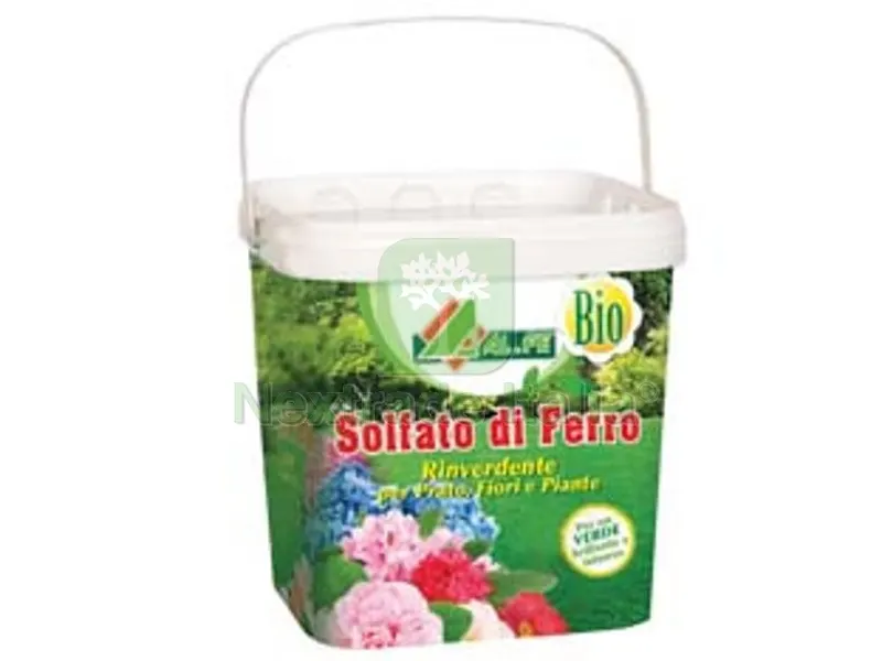 4PZ CONCIME SOLFATO DI FERRO - kg.5 in secchio — Protezione piante e sementi — rif. FERX.FER470070 4PZ CONCIME SOLFATO DI FERRO - kg.5 in secchio — Protezione piante e sementi — rif. FERX.FER470070