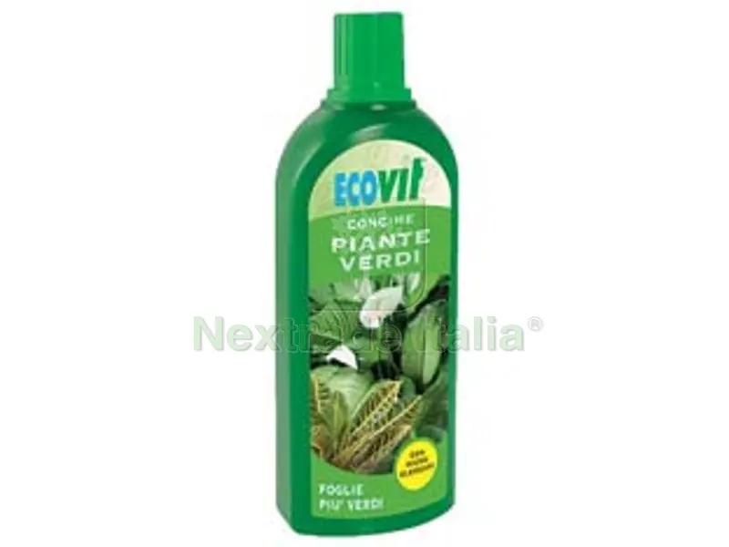 6PZ CONCIME LIQUIDO PER PIANTE VERDI lt.1 concime inorganico liquido composto a base di macroelementi NPK 8-5-5+B+Cu+Fe+Mn+Zn soddisfa al meglio le esigenze nutritive delle piante verdi in ge — Protezione piante e sementi — rif. FERX.FER470261