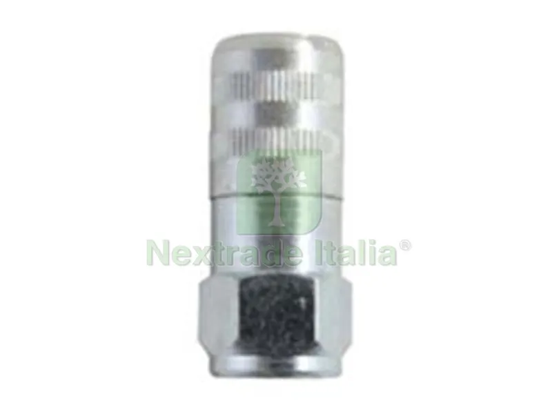 10PZ Testina per Ingrassatore — Lubrificanti e oli — rif. FERX.FER475884