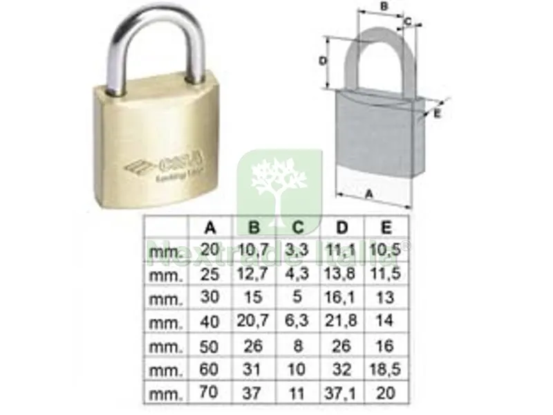 12PZ Lucchetto Locking Line Arco Normale 20010 - mm.25 (art.20010250) — Lucchetti e catene — rif. FERX.FER478922 12PZ Lucchetto Locking Line Arco Normale 20010 - mm.25 (art.20010250) — Lucchetti e catene — rif. FERX.FER478922