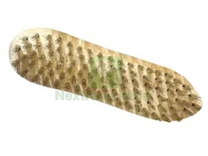 10PZ SPAZZOLA ACCIAIO A BISCOTTO dimensioni mm.213x56x44 6 ranghi — Punte, frese e dischi — rif. FERX.FER486033