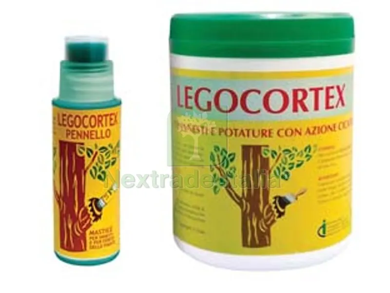 4PZ MASTICE PER INNESTI LEGOCORTEX - flacone gr.250 con pennello dosatore — Pennelli e rulli — rif. FERX.FER489027 4PZ MASTICE PER INNESTI LEGOCORTEX - flacone gr.250 con pennello dosatore — Pennelli e rulli — rif. FERX.FER489027