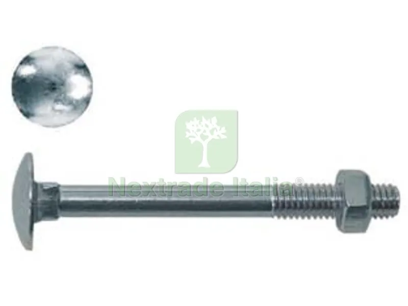 5BLISTER Cavicchia Acciaio Testa Tonda con Dado in Blister - ø mm.10x60 In blister pz.5 (C) — Bulloni, dadi e rondelle — rif. FERX.FER497329 5BLISTER Cavicchia Acciaio Testa Tonda con Dado in Blister - ø mm.10x60 In blister pz.5 (C) — Bulloni, dadi e rondelle — rif. FERX.FER497329