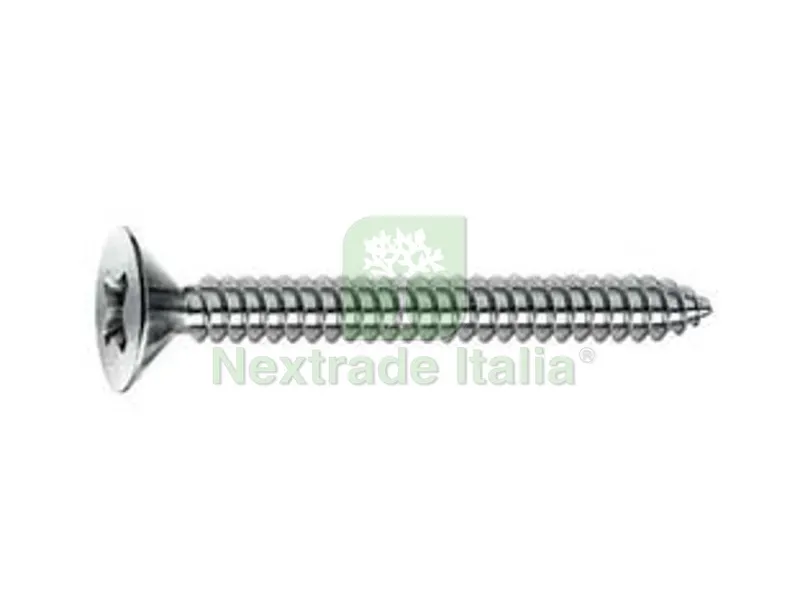 5BLISTER VITE AUTOFILETTANTE TSP CAVA PH IN ACCIAIO ZINCATO BLISTER - ø mm.3,9x19 in blister pz.50 (A) — Viti — rif. FERX.FER497398