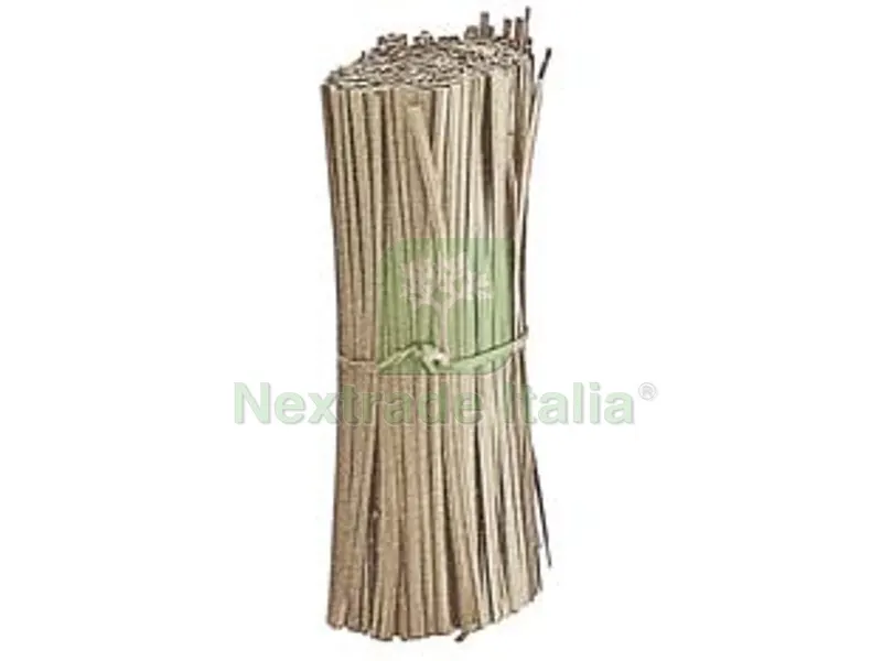 30PZ PIATTINA ANIMATA IN CARTA IN MAZZETTI - cm.15 — Protezione piante e sementi — rif. FERX.FER13536 30PZ PIATTINA ANIMATA IN CARTA IN MAZZETTI - cm.15 — Protezione piante e sementi — rif. FERX.FER13536