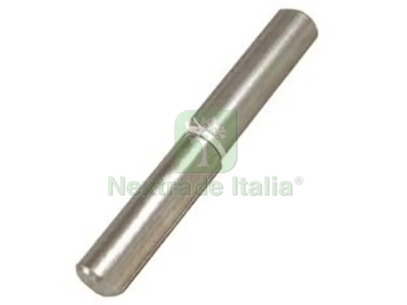 48PZ CERNIERE CON COSTA PERNO FISSO ART.255 - mm. 60x ? 10 — Cerniere e cardini — rif. FERX.FER9164