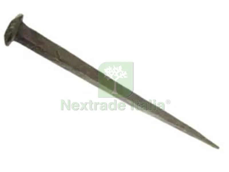 5KG CHIODI DA STACCIONATA mm.200 kg.5 — Staccionate e steccati — rif. FERX.FER15189