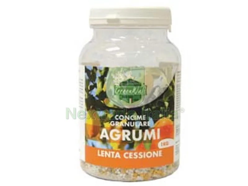 4PZ CONCIME GRANULARE LENTA CESSIONE AGRUMI — Protezione piante e sementi — rif. FERX.FER137645 4PZ CONCIME GRANULARE LENTA CESSIONE AGRUMI — Protezione piante e sementi — rif. FERX.FER137645