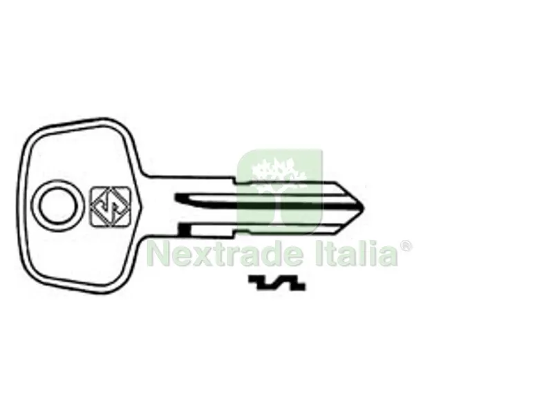 10PZ CHIAVI BLAU PER TAPPI BENZINA BT2 - BT2 — Ferramenta porte e finestre — rif. FERX.FER190824 10PZ CHIAVI BLAU PER TAPPI BENZINA BT2 - BT2 — Ferramenta porte e finestre — rif. FERX.FER190824