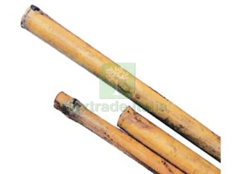 50PZ CANNA BAMBOO - mm.24/26 h.210 — Protezione piante e sementi — rif. FERX.FER268769