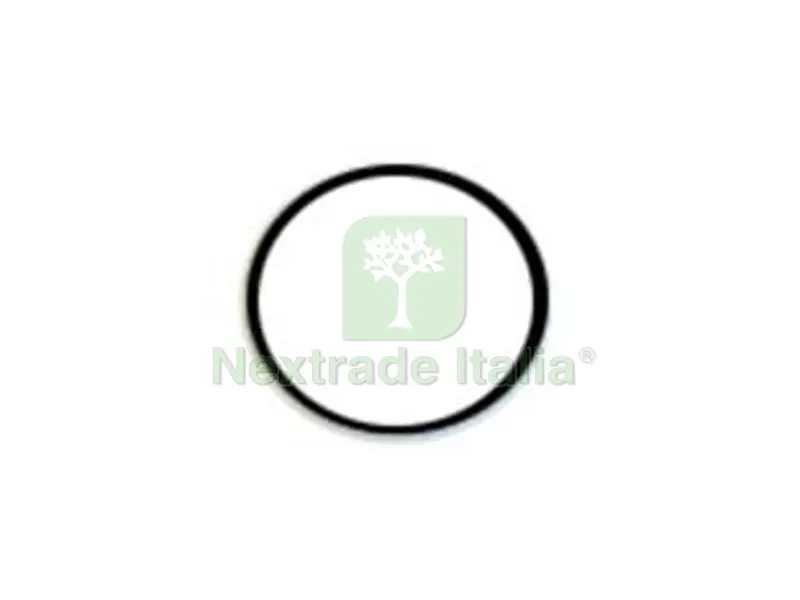 25PZ oring per dosaphos 250 — Guarnizioni e tenute — rif. FERX.FER249584 25PZ oring per dosaphos 250 — Guarnizioni e tenute — rif. FERX.FER249584