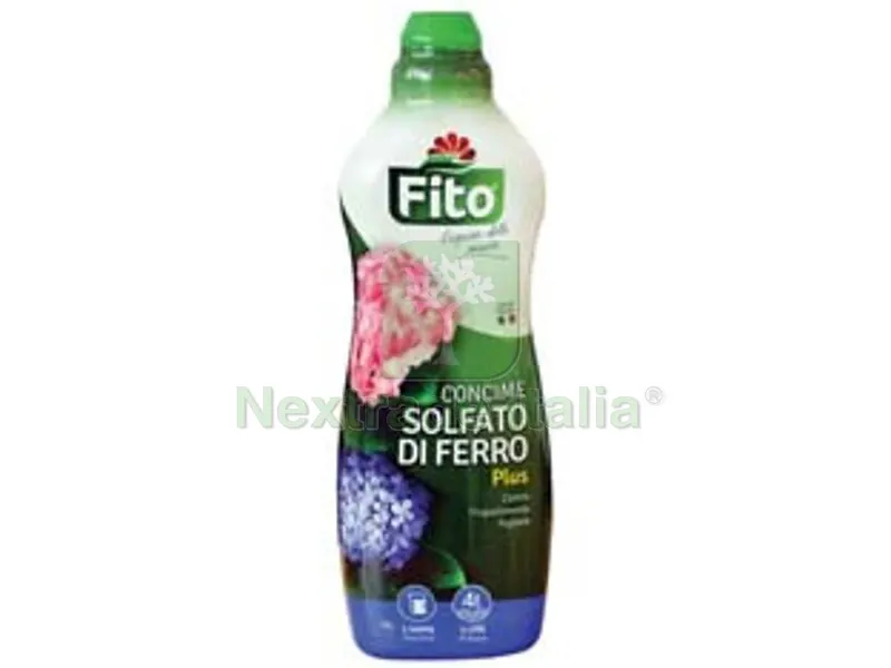 6PZ SOLFATO DI FERRO LIQUIDO - ml.1000 — Protezione piante e sementi — rif. FERX.FER272506 6PZ SOLFATO DI FERRO LIQUIDO - ml.1000 — Protezione piante e sementi — rif. FERX.FER272506