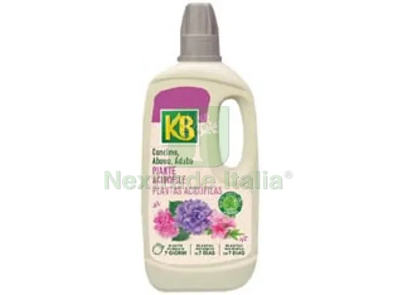 3PZ concime liquido per azalee, ortensie e camelie - lt.1 — Protezione piante e sementi — rif. FERX.FER277426 3PZ concime liquido per azalee, ortensie e camelie - lt.1 — Protezione piante e sementi — rif. FERX.FER277426
