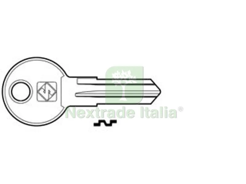 20PZ CHIAVI PER CILINDRI RENZ 5 SPINE PICCOLE - REN1 DX — Serrature e cilindri — rif. FERX.FER361842 20PZ CHIAVI PER CILINDRI RENZ 5 SPINE PICCOLE - REN1 DX — Serrature e cilindri — rif. FERX.FER361842