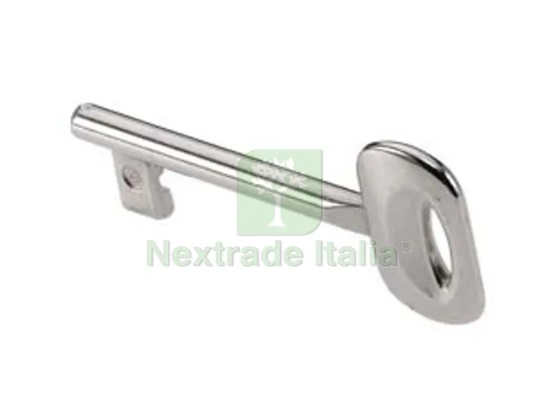 10PZ CHIAVE SPECIALE PER PATENT NICHELATA - n?8 — Serrature e cilindri — rif. FERX.FER412421 10PZ CHIAVE SPECIALE PER PATENT NICHELATA - n?8 — Serrature e cilindri — rif. FERX.FER412421