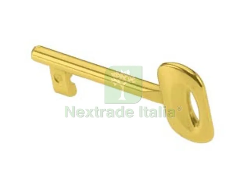 10PZ CHIAVE SPECIALE PER PATENT OTTONATA - n?7 — Serrature e cilindri — rif. FERX.FER412513 10PZ CHIAVE SPECIALE PER PATENT OTTONATA - n?7 — Serrature e cilindri — rif. FERX.FER412513