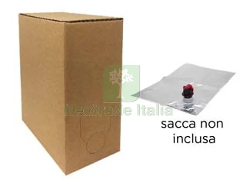 10PZ BAG IN BOX CARTONE AVANA - per sacca lt.5 ns. cod.476041 — Casalinghi e organizzazione — rif. FERX.FER476065 10PZ BAG IN BOX CARTONE AVANA - per sacca lt.5 ns. cod.476041 — Casalinghi e organizzazione — rif. FERX.FER476065