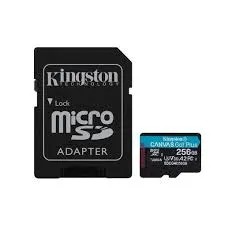 Kingston Micro SD 256GB CL10 Canvas GO Plus SDCG4/256GB — rif. FERX.PCP19109 Kingston Micro SD 256GB CL10 Canvas GO Plus SDCG4/256GB — rif. FERX.PCP19109