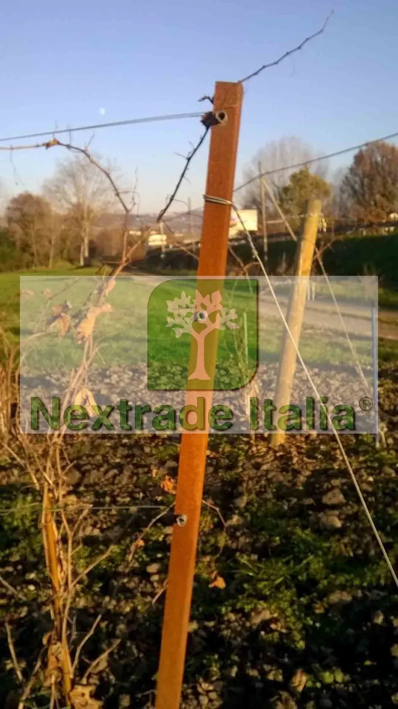 20PZ Pali per Vigneto Frutteto Vigneti Palo di Testata con asole in acciaio corten 60x70 spessore 2,0mm altezza palo 250 H — Pali e paletti — rif. FERX.MI.36 20PZ Pali per Vigneto Frutteto Vigneti Palo di Testata con asole in acciaio corten 60x70 spessore 2,0mm altezza palo 250 H — Pali e paletti — rif. FERX.MI.36