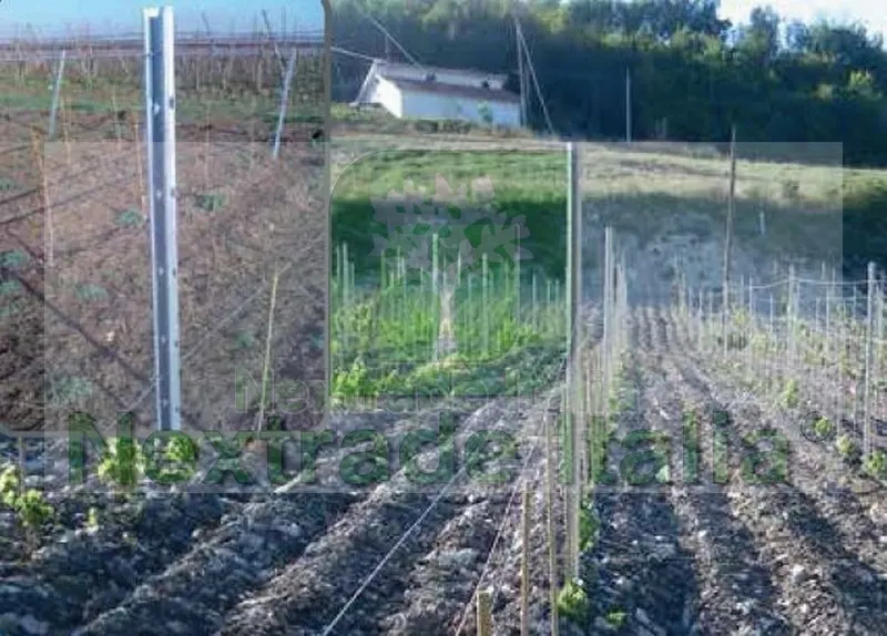 50PZ Pali per Vigneto Frutteto Spalliera Intermedio con asole in acciaio corten 52x35 spessore 1,5mm altezza palo 250 H — Accessori recinzione — rif. FERX.MI.39 — foto 3