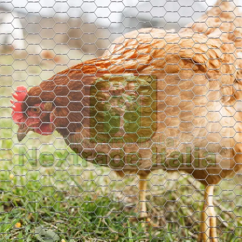 2RT 25 MT Rete per Polli | Altezza H 100 CM | Maglia Esagonale 25 MM | Filo Ø 0,8 MM | Zincata 25/3 Tripla Torsione per Pollame, Voliere, Conigliere, Galline — Reti e recinzioni — rif. FERX.MI.129 — foto 3