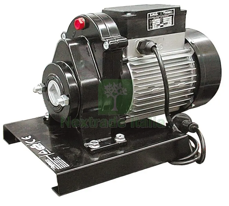 Motore Elettrico per Spremipomodoro Hp 0,80 - 600 W — Attrezzi da giardino — rif. FERX.VIT6823 Motore Elettrico per Spremipomodoro Hp 0,80 - 600 W — Attrezzi da giardino — rif. FERX.VIT6823